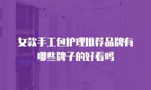 女款手工包护理推荐品牌有哪些牌子的好看吗