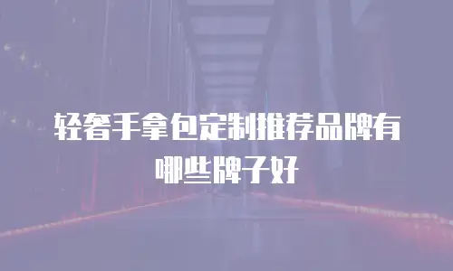 轻奢手拿包定制推荐品牌有哪些牌子好