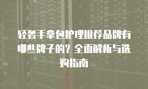 轻奢手拿包护理推荐品牌有哪些牌子的？全面解析与选购指南