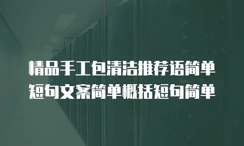 精品手工包清洁推荐语简单短句文案简单概括短句简单