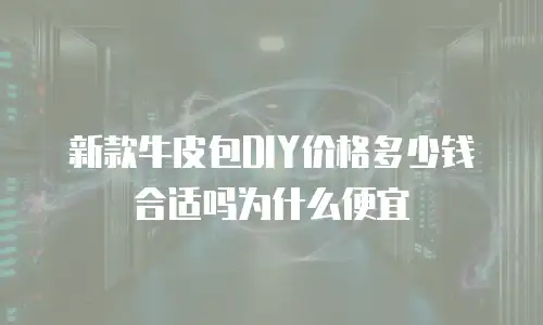 新款牛皮包DIY价格多少钱合适吗为什么便宜