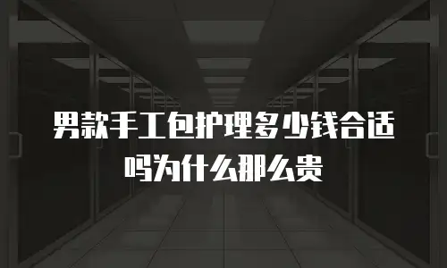 男款手工包护理多少钱合适吗为什么那么贵