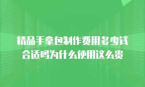 精品手拿包制作费用多少钱合适吗为什么使用这么贵