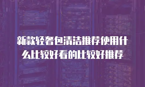 新款轻奢包清洁推荐使用什么比较好看的比较好推荐