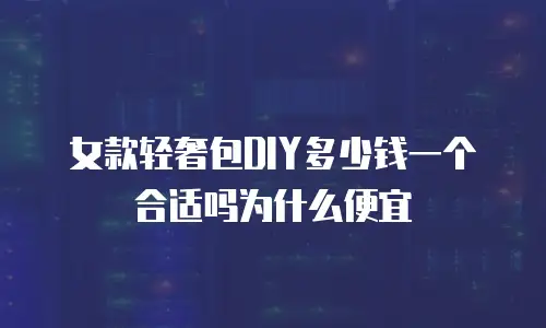 女款轻奢包DIY多少钱一个合适吗为什么便宜