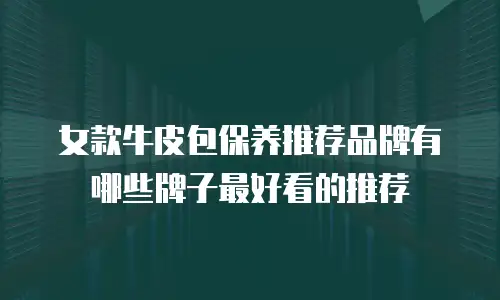 女款牛皮包保养推荐品牌有哪些牌子最好看的推荐