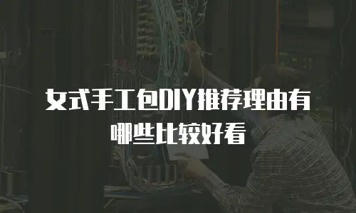 女式手工包DIY推荐理由有哪些比较好看