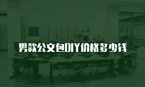 男款公文包DIY价格多少钱