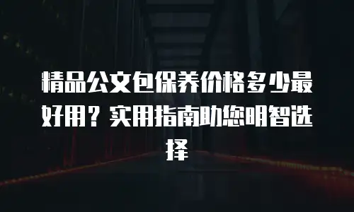 精品公文包保养价格多少最好用？实用指南助您明智选择