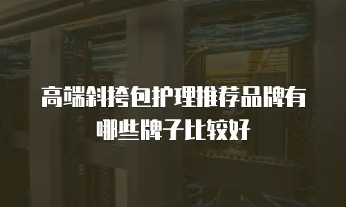 高端斜挎包护理推荐品牌有哪些牌子比较好
