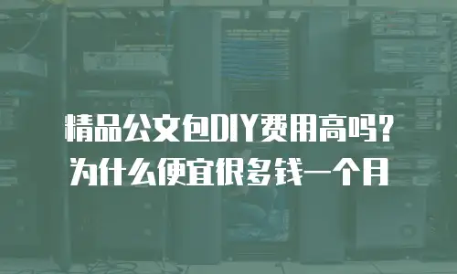 精品公文包DIY费用高吗？为什么便宜很多钱一个月