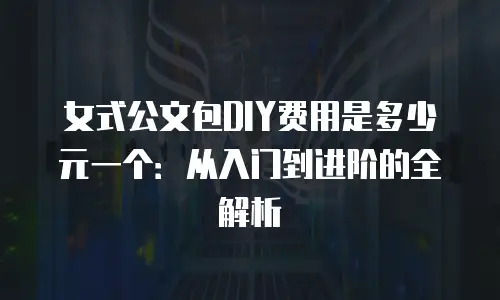 女式公文包DIY费用是多少元一个：从入门到进阶的全解析