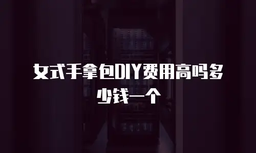 女式手拿包DIY费用高吗多少钱一个