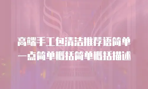 高端手工包清洁推荐语简单一点简单概括简单概括描述