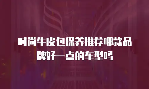 时尚牛皮包保养推荐哪款品牌好一点的车型吗