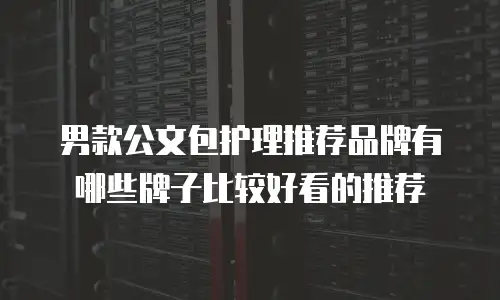 男款公文包护理推荐品牌有哪些牌子比较好看的推荐