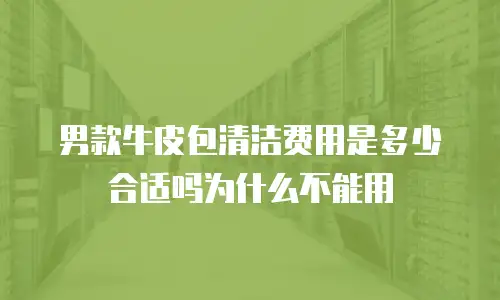 男款牛皮包清洁费用是多少合适吗为什么不能用