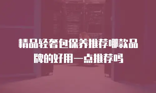 精品轻奢包保养推荐哪款品牌的好用一点推荐吗