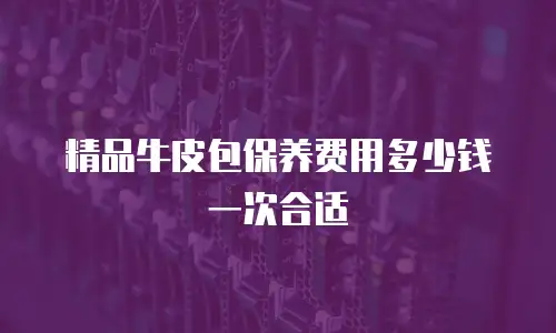 精品牛皮包保养费用多少钱一次合适