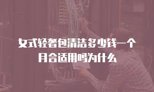 女式轻奢包清洁多少钱一个月合适用吗为什么