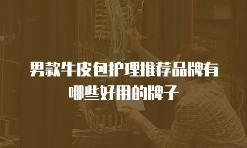 男款牛皮包护理推荐品牌有哪些好用的牌子