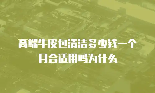 高端牛皮包清洁多少钱一个月合适用吗为什么