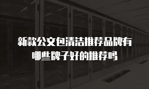 新款公文包清洁推荐品牌有哪些牌子好的推荐吗