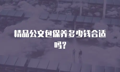 精品公文包保养多少钱合适吗？