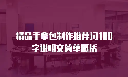 精品手拿包制作推荐词100字说明文简单概括