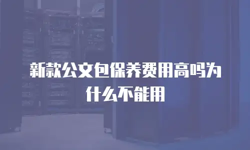 新款公文包保养费用高吗为什么不能用