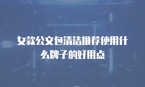 女款公文包清洁推荐使用什么牌子的好用点