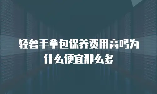 轻奢手拿包保养费用高吗为什么便宜那么多