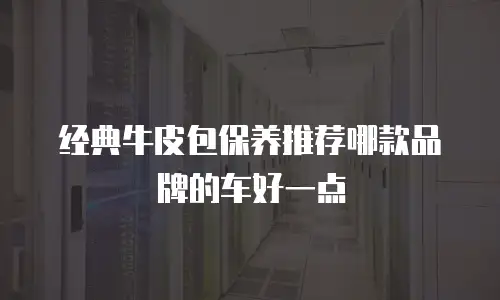 经典牛皮包保养推荐哪款品牌的车好一点