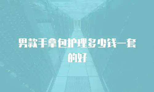 男款手拿包护理多少钱一套的好