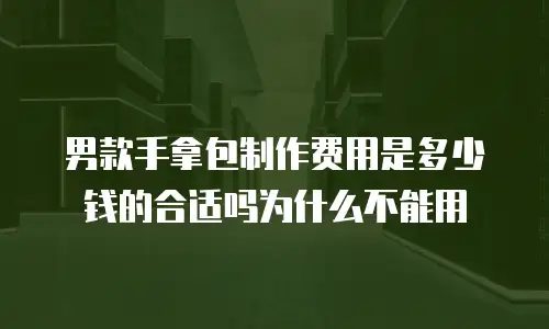 男款手拿包制作费用是多少钱的合适吗为什么不能用