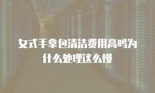 女式手拿包清洁费用高吗为什么处理这么慢