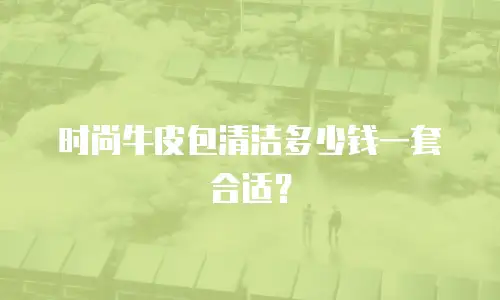 时尚牛皮包清洁多少钱一套合适？