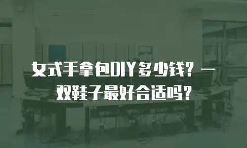 女式手拿包DIY多少钱？一双鞋子最好合适吗？