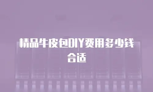 精品牛皮包DIY费用多少钱合适