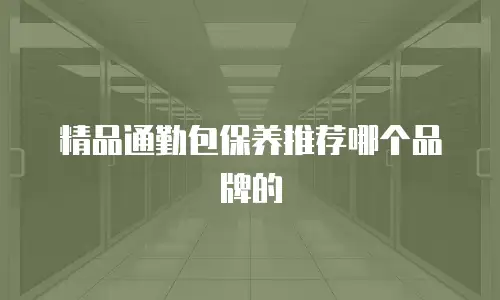 精品通勤包保养推荐哪个品牌的