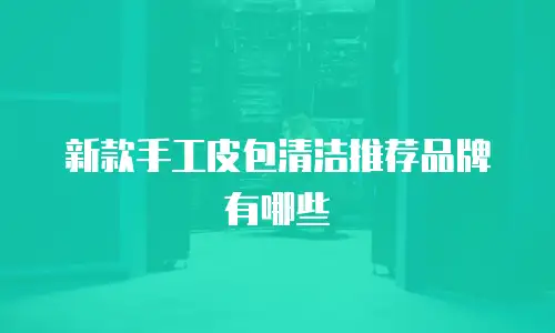 新款手工皮包清洁推荐品牌有哪些