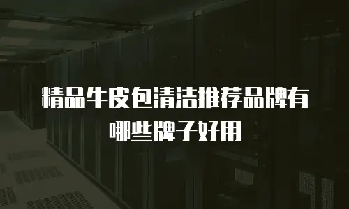 精品牛皮包清洁推荐品牌有哪些牌子好用