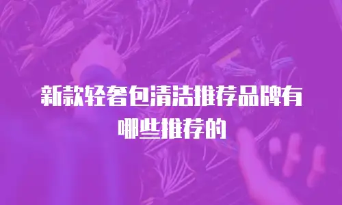 新款轻奢包清洁推荐品牌有哪些推荐的