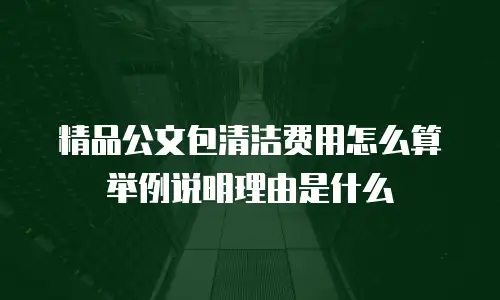 精品公文包清洁费用怎么算举例说明理由是什么