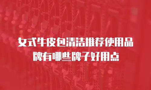 女式牛皮包清洁推荐使用品牌有哪些牌子好用点