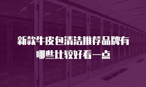 新款牛皮包清洁推荐品牌有哪些比较好看一点