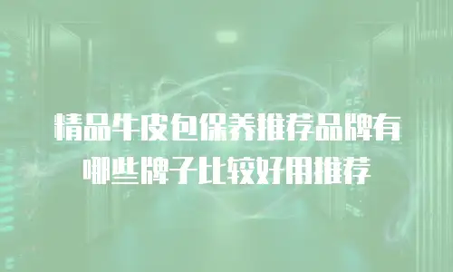 精品牛皮包保养推荐品牌有哪些牌子比较好用推荐