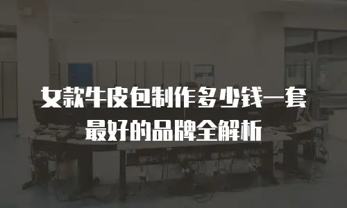 女款牛皮包制作多少钱一套最好的品牌全解析