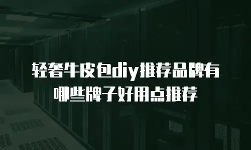 轻奢牛皮包diy推荐品牌有哪些牌子好用点推荐