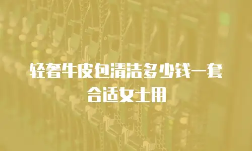 轻奢牛皮包清洁多少钱一套合适女士用